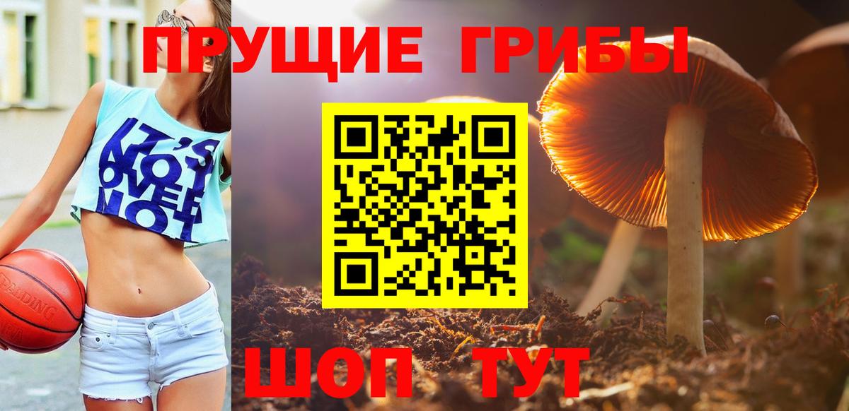 Галлюциногенные грибы мицелий Майский