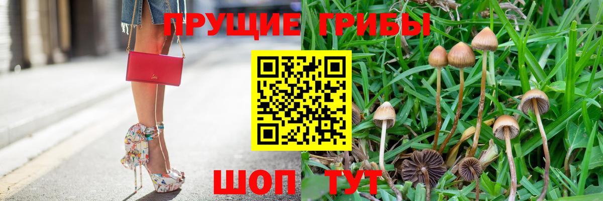 Галлюциногенные грибы мицелий  Галлюциногенные грибы MAGIC MUSHROOMS  Майский  Вход с VPN 